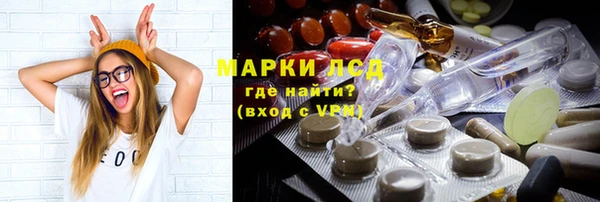 спайс Богданович