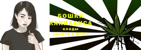 спайс Богданович