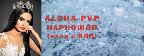 спайс Богданович