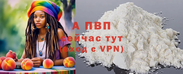 спайс Богданович